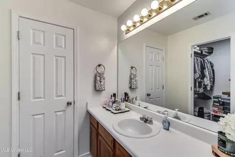 383 Audubon Cir, Brandon, MS 39047 photo 30