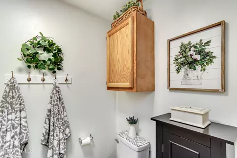 383 Audubon Cir, Brandon, MS 39047 photo 39