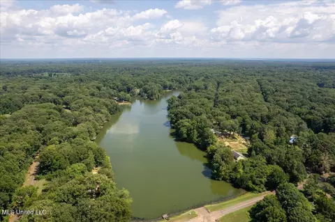 11147 Horseshoe Bnd, Hernando, MS 38632 photo 43