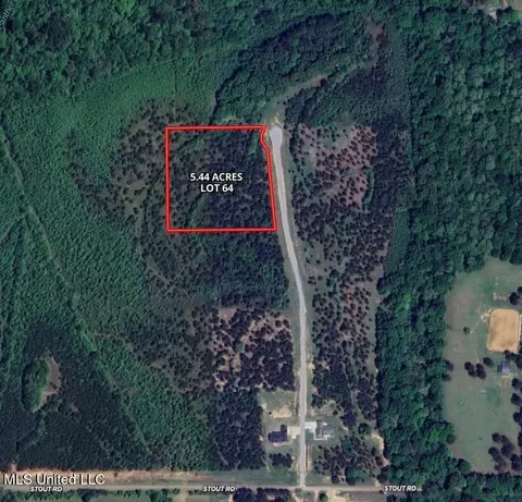 Stout Farm Drive, Madison, MS 39110 photo 6