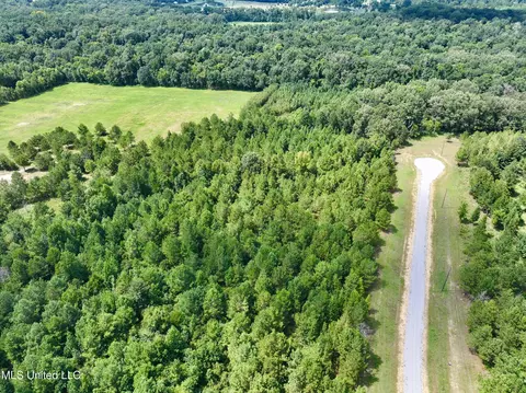 Stout Farm Drive, Madison, MS 39110 photo 2