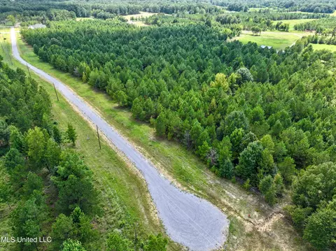 Stout Farm Drive, Madison, MS 39110 photo 4