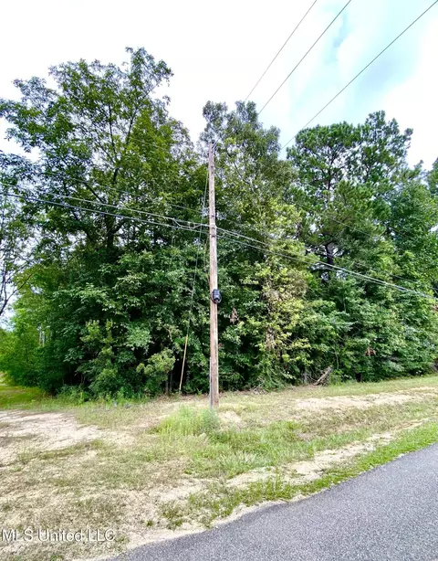 20 Timeberlane Dr, Picayune, MS 39466 photo 3