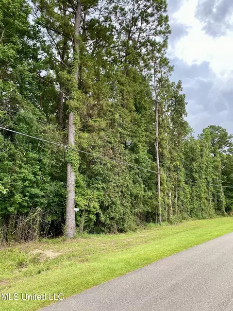20 Timeberlane Dr, Picayune, MS 39466 photo 2