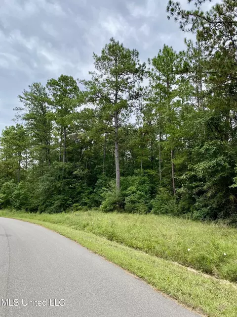 249 Timberlane Dr, Picayune, MS 39466 photo 3