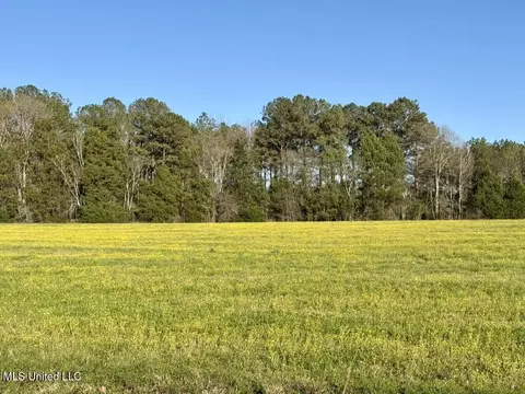00015 Stump Bridge Rd, Canton, MS 39046 photo 3