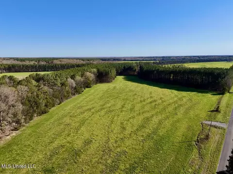 00015 Stump Bridge Rd, Canton, MS 39046 photo 2