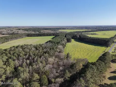 00015 Stump Bridge Rd, Canton, MS 39046 photo 14