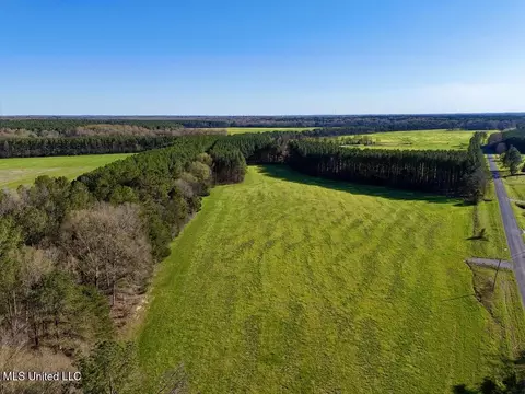 00015 Stump Bridge Rd, Canton, MS 39046 photo 18