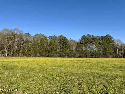 00015 Stump Bridge Rd, Canton, MS 39046 photo 17