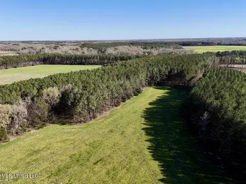 00015 Stump Bridge Rd, Canton, MS 39046 photo 12