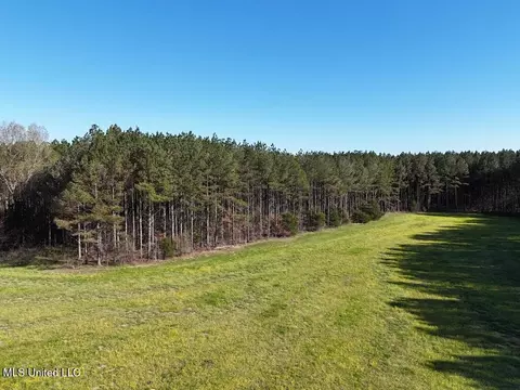 00015 Stump Bridge Rd, Canton, MS 39046 photo 11