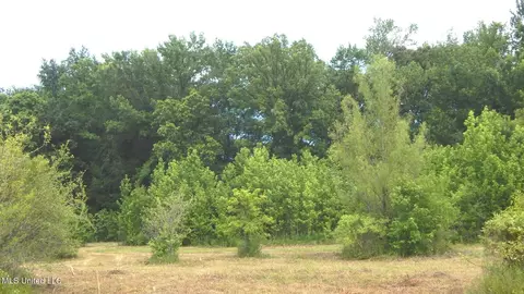 6338 W Oak Grove Rd, Hernando, MS 38632 photo 23