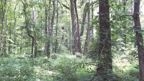 6338 W Oak Grove Rd, Hernando, MS 38632 photo 8
