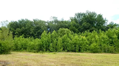 6338 W Oak Grove Rd, Hernando, MS 38632 photo 22
