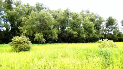 6338 W Oak Grove Rd, Hernando, MS 38632 photo 20