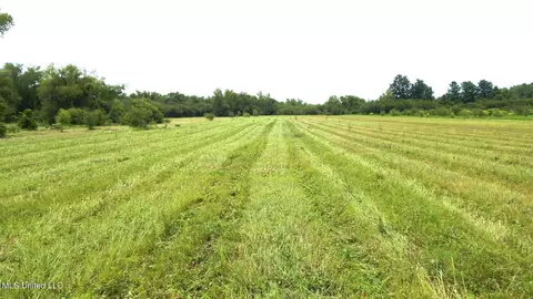 6338 W Oak Grove Rd, Hernando, MS 38632 photo 10