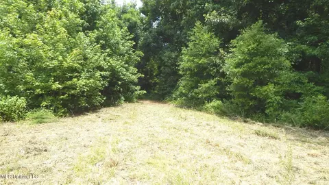 6338 W Oak Grove Rd, Hernando, MS 38632 photo 5