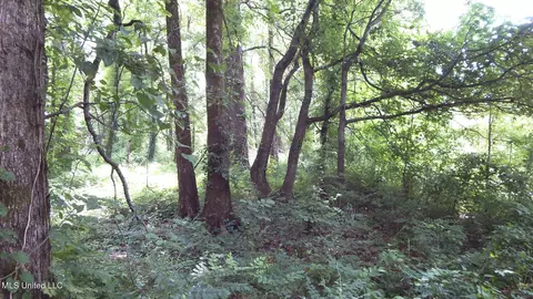 6338 W Oak Grove Rd, Hernando, MS 38632 photo 7