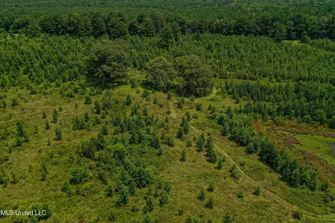001 Hwy 46, West Point, MS 39773 photo 22