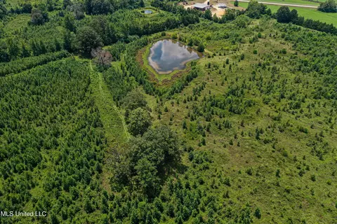 001 Hwy 46, West Point, MS 39773 photo 13