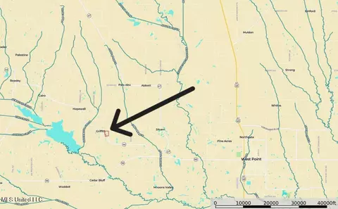 001 Hwy 46, West Point, MS 39773 photo 4
