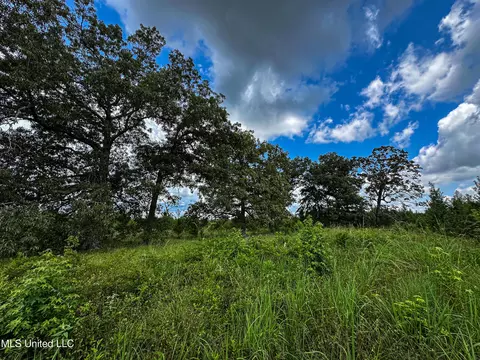 001 Hwy 46, West Point, MS 39773 photo 10