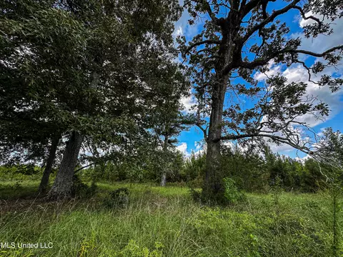 001 Hwy 46, West Point, MS 39773 photo 18