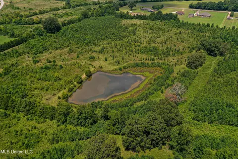 001 Hwy 46, West Point, MS 39773 photo 7
