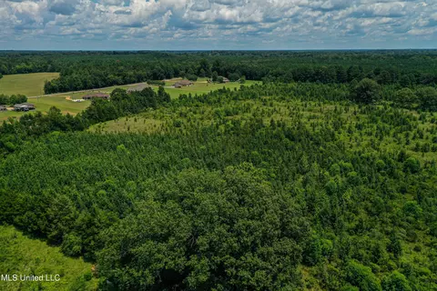 001 Hwy 46, West Point, MS 39773 photo 20