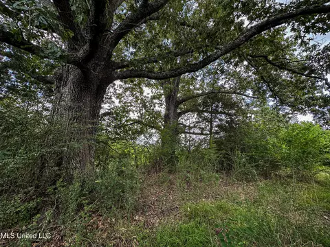 001 Hwy 46, West Point, MS 39773 photo 5