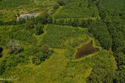 001 Hwy 46, West Point, MS 39773 photo 6