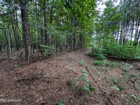 001 Hwy 46, West Point, MS 39773 photo 8
