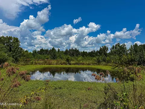 001 Hwy 46, West Point, MS 39773 photo 16