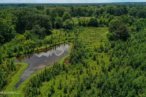001 Hwy 46, West Point, MS 39773 photo 27