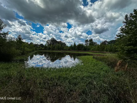 001 Hwy 46, West Point, MS 39773 photo 25