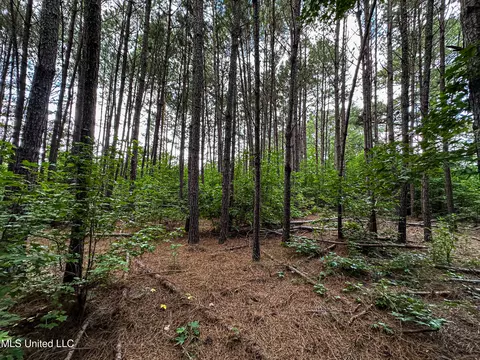 001 Hwy 46, West Point, MS 39773 photo 12