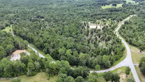 28 3 Acres Sandford Dr, Lucedale, MS 39452 photo 6