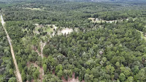28 3 Acres Sandford Dr, Lucedale, MS 39452 photo 11