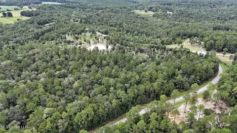 28 3 Acres Sandford Dr, Lucedale, MS 39452 photo 9