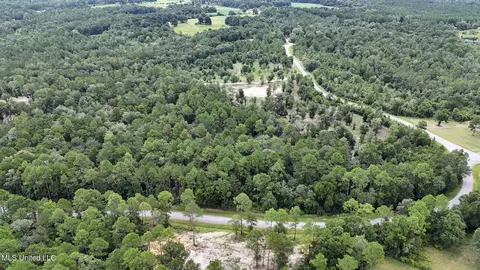 28 3 Acres Sandford Dr, Lucedale, MS 39452 photo 8