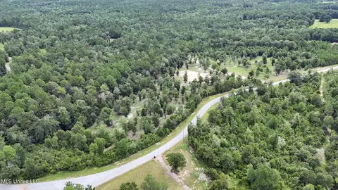 28 3 Acres Sandford Dr, Lucedale, MS 39452 photo 4