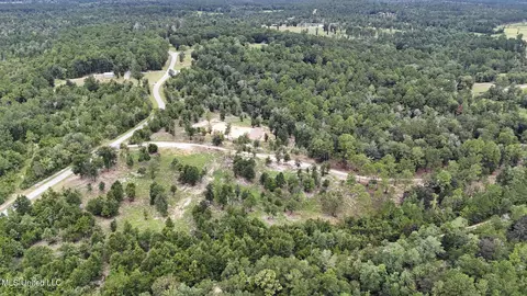 28 3 Acres Sandford Dr, Lucedale, MS 39452 photo 13