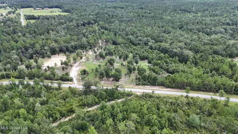 28 3 Acres Sandford Dr, Lucedale, MS 39452 photo 3
