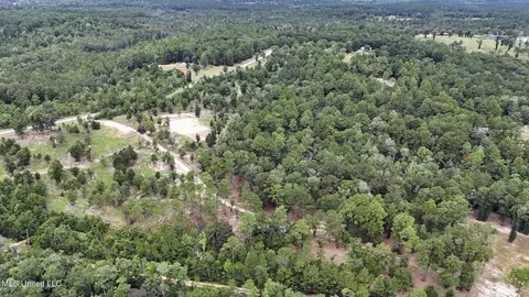 28 3 Acres Sandford Dr, Lucedale, MS 39452 photo 12