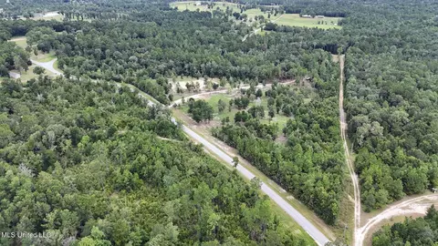 28 3 Acres Sandford Dr, Lucedale, MS 39452 photo 7