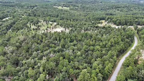 28 3 Acres Sandford Dr, Lucedale, MS 39452 photo 10