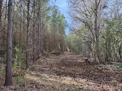 Tynes Road, Sandy Hook, MS 39478 photo 24