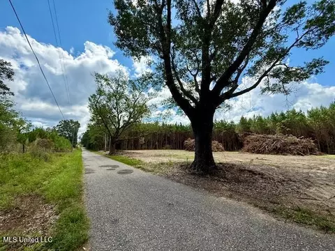 Tynes Road, Sandy Hook, MS 39478 photo 8