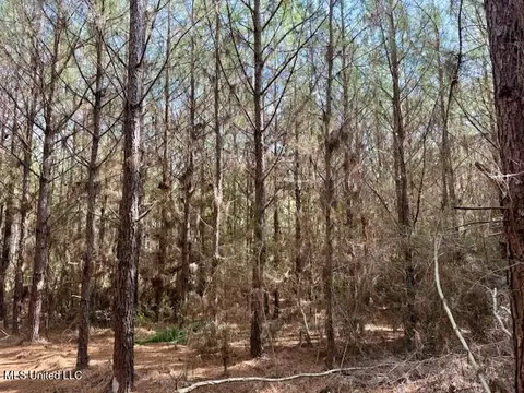 Tynes Road, Sandy Hook, MS 39478 photo 18